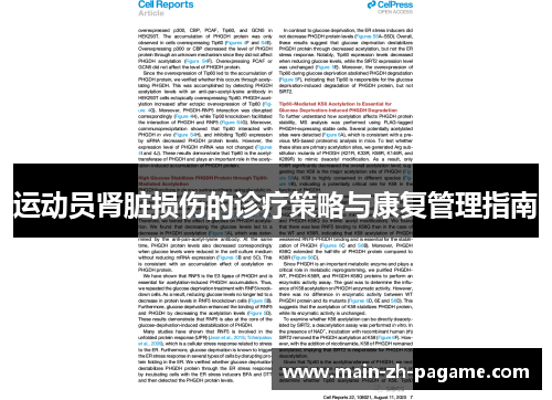 运动员肾脏损伤的诊疗策略与康复管理指南